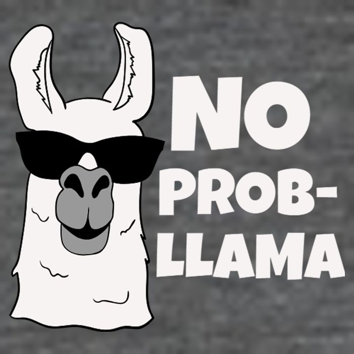 No Probllama Llama Problem Funny Hoodie