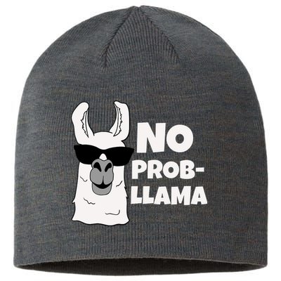 No Probllama Llama Problem Funny Sustainable Beanie