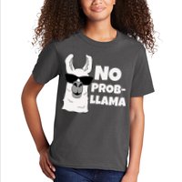 No Probllama Llama Problem Funny Kids T-Shirt