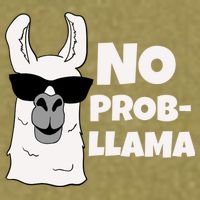 No Probllama Llama Problem Funny Garment-Dyed Women's Muscle Tee