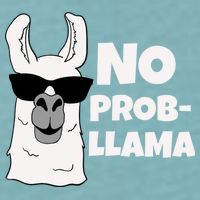 No Probllama Llama Problem Funny Sueded Cloud Jersey T-Shirt