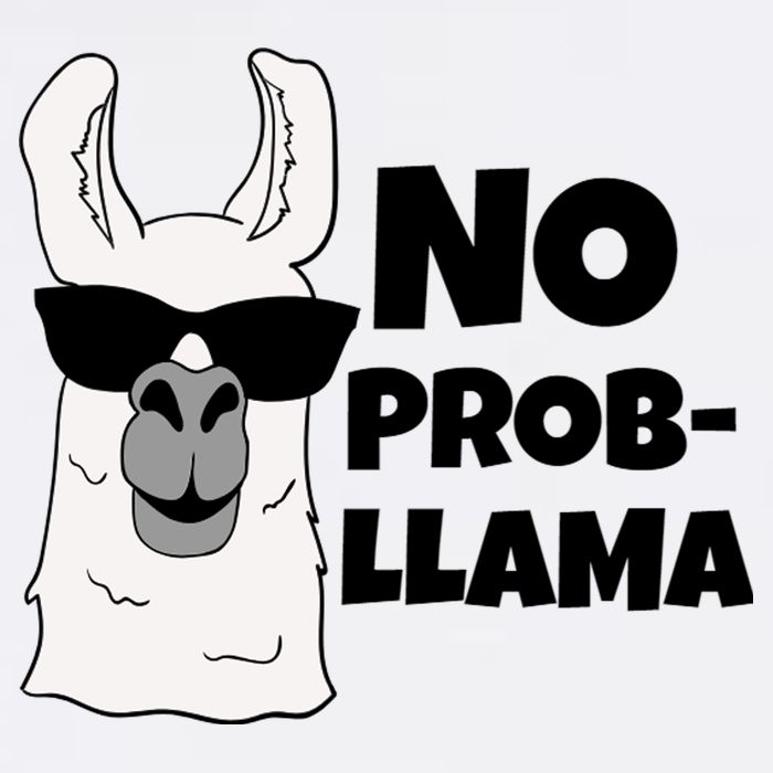 No Probllama Llama Problem Funny Garment-Dyed Sweatshirt