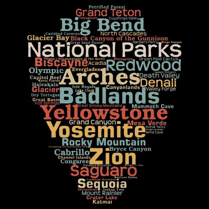 National Parks List Word Cloud Camping Hiking Wool Snapback Cap