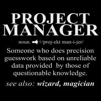 Noun Project Manager Definition Project Management Valucap Bio-Washed Visor