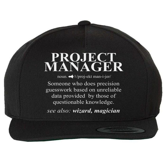 Noun Project Manager Definition Project Management Wool Snapback Cap