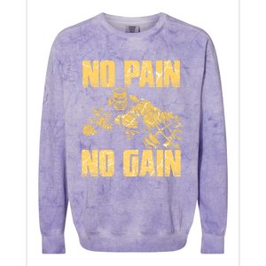 No Pain No Gain Bodybuilding Gym Motivational Inspirational Gift Colorblast Crewneck Sweatshirt