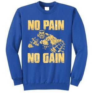 No Pain No Gain Bodybuilding Gym Motivational Inspirational Gift Sweatshirt