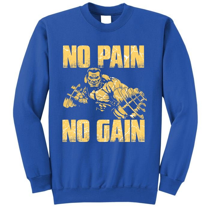 No Pain No Gain Bodybuilding Gym Motivational Inspirational Gift Sweatshirt