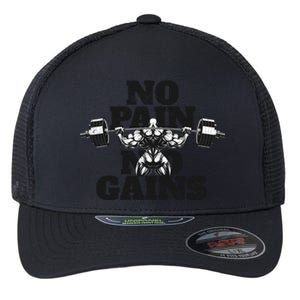 No Pain No Gains: Weightlifter Gym For Powerlifting Meaningful Gift Flexfit Unipanel Trucker Cap