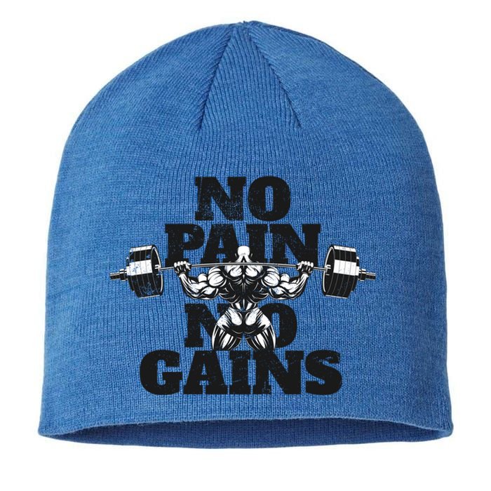 No Pain No Gains: Weightlifter Gym For Powerlifting Meaningful Gift Sustainable Beanie