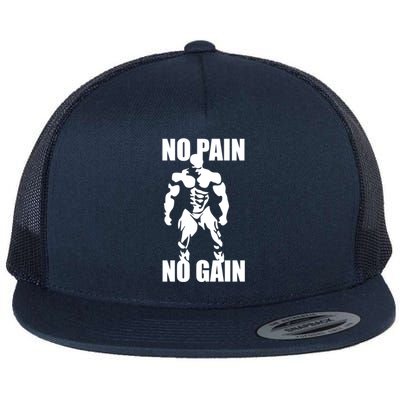 No Pain No Gain Fitness Gym Clothing Equipt Cute Gift Flat Bill Trucker Hat