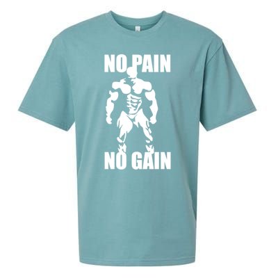 No Pain No Gain Fitness Gym Clothing Equipt Cute Gift Sueded Cloud Jersey T-Shirt