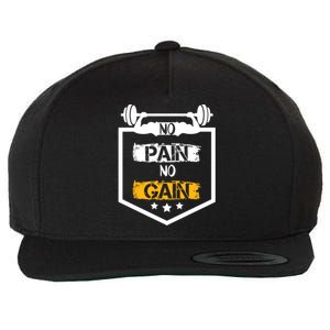 No Pain No Gain Gym Workout Fitness Training Cool Gift Wool Snapback Cap