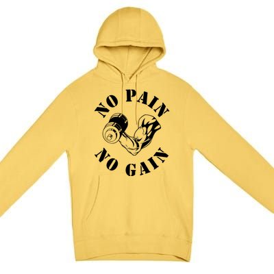 No Pain No Gain Gym Workout Fitness Training Gift Premium Pullover Hoodie