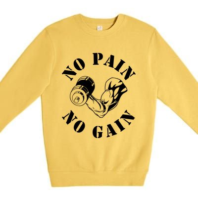 No Pain No Gain Gym Workout Fitness Training Gift Premium Crewneck Sweatshirt