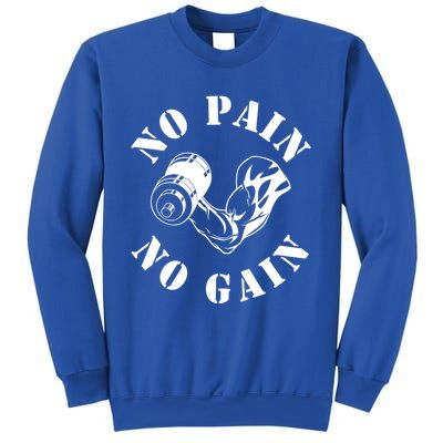 No Pain No Gain Gym Workout Fitness Training Gift Sweatshirt