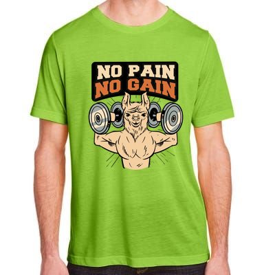 No Pain No Gain Gift Adult ChromaSoft Performance T-Shirt