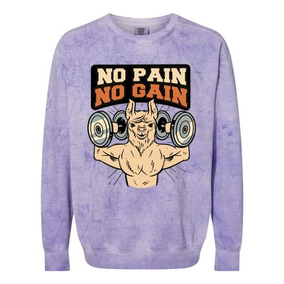 No Pain No Gain Gift Colorblast Crewneck Sweatshirt