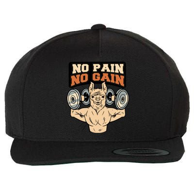 No Pain No Gain Gift Wool Snapback Cap