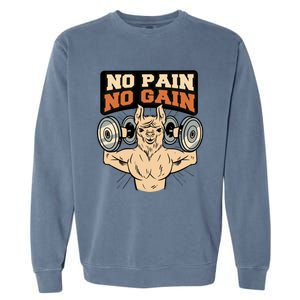 No Pain No Gain Gift Garment-Dyed Sweatshirt