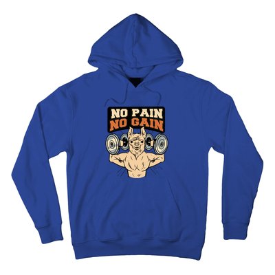 No Pain No Gain Gift Hoodie