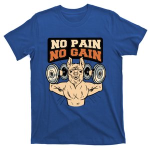 No Pain No Gain Gift T-Shirt