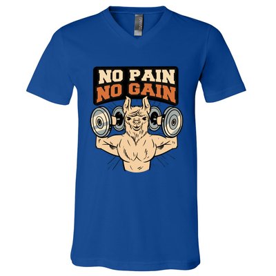 No Pain No Gain Gift V-Neck T-Shirt