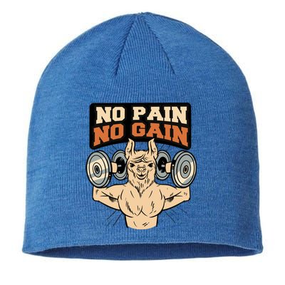 No Pain No Gain Gift Sustainable Beanie