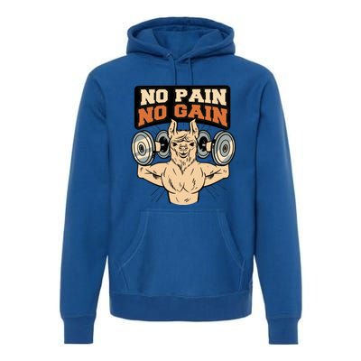 No Pain No Gain Gift Premium Hoodie