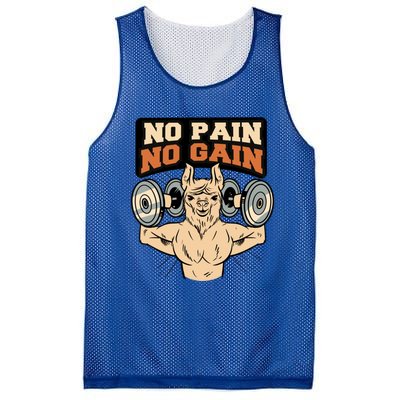 No Pain No Gain Gift Mesh Reversible Basketball Jersey Tank