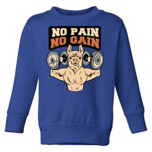 No Pain No Gain Gift Toddler Sweatshirt