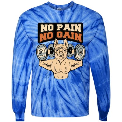 No Pain No Gain Gift Tie-Dye Long Sleeve Shirt