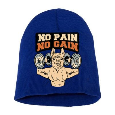 No Pain No Gain Gift Short Acrylic Beanie