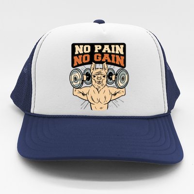 No Pain No Gain Gift Trucker Hat