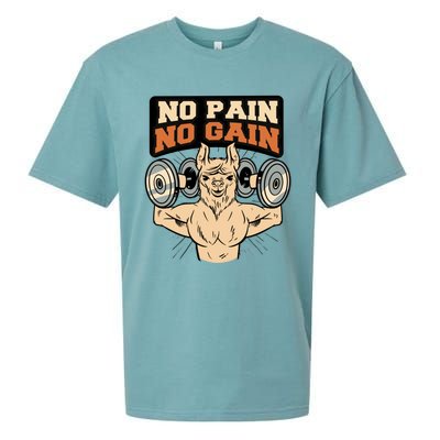 No Pain No Gain Gift Sueded Cloud Jersey T-Shirt