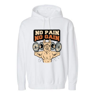 No Pain No Gain Gift Garment-Dyed Fleece Hoodie