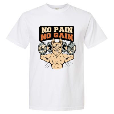 No Pain No Gain Gift Garment-Dyed Heavyweight T-Shirt