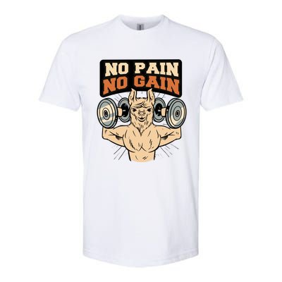 No Pain No Gain Gift Softstyle CVC T-Shirt