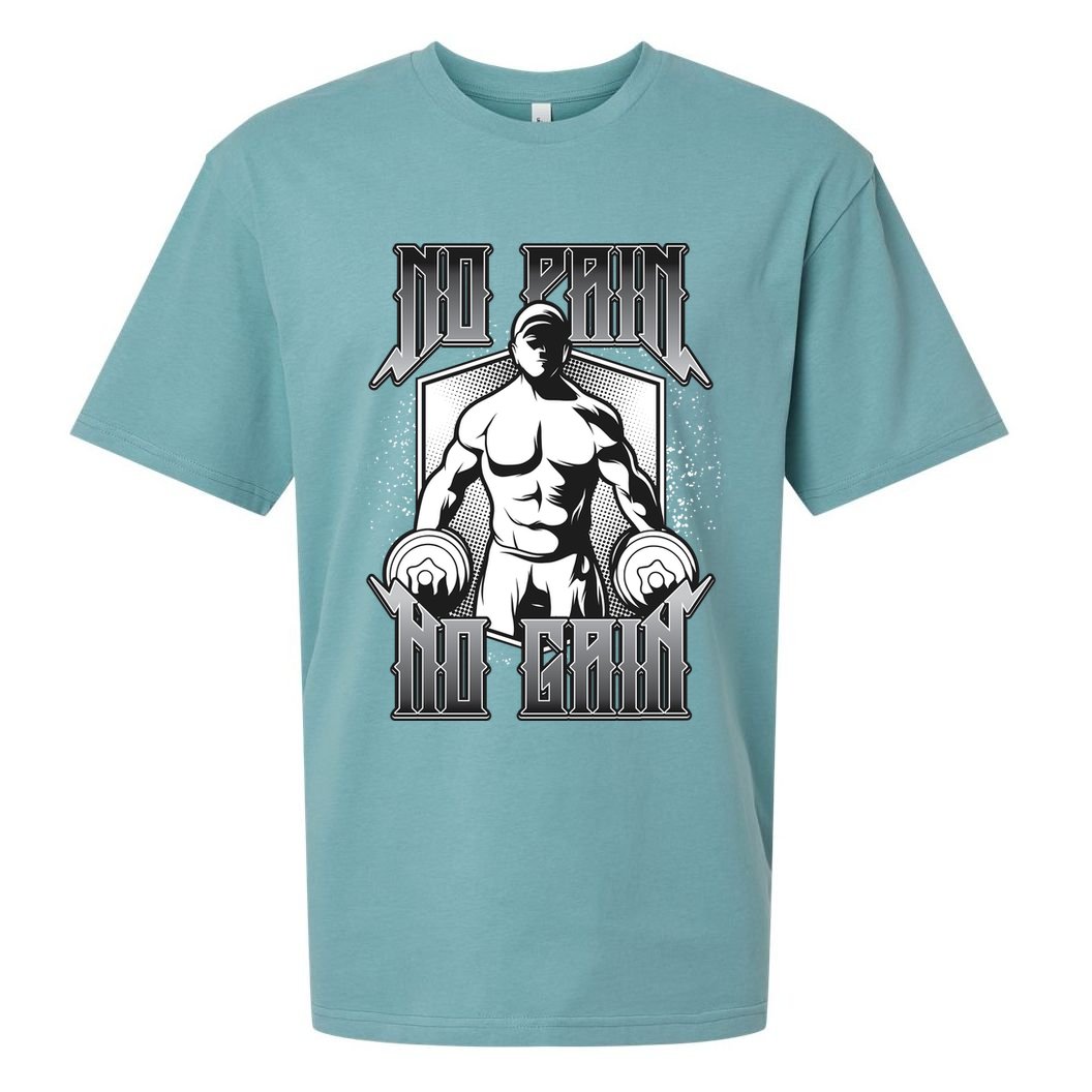 No Pain No Gain Sueded Cloud Jersey T-Shirt