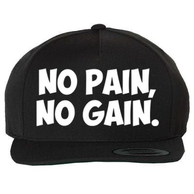 No Pain No Gain Cool Gift Wool Snapback Cap