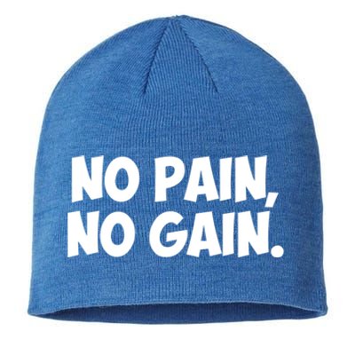 No Pain No Gain Cool Gift Sustainable Beanie