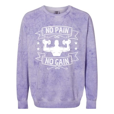 No Pain No Gain Gift Motivational Gym Workout Great Gift Colorblast Crewneck Sweatshirt