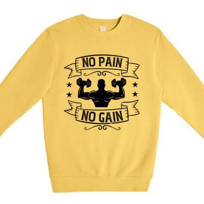 No Pain No Gain Gift Motivational Gym Workout Great Gift Premium Crewneck Sweatshirt