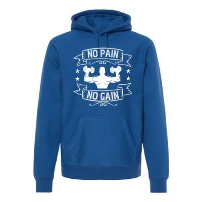 No Pain No Gain Gift Motivational Gym Workout Great Gift Premium Hoodie