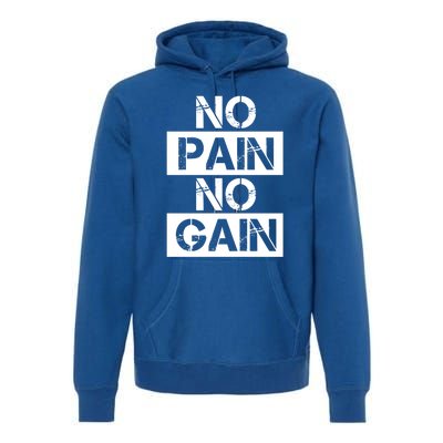 No Pain No Gain Beast Workout Muscular Gym Distressed Gift Premium Hoodie