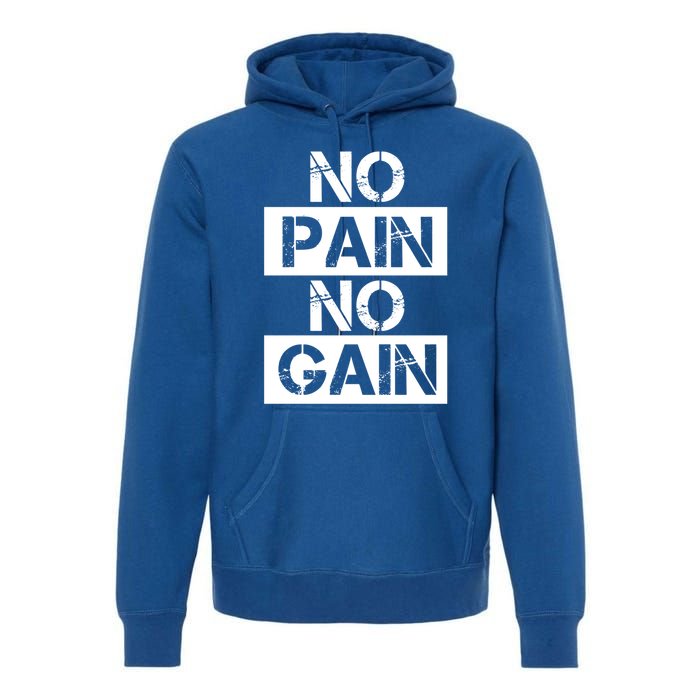 No Pain No Gain Beast Workout Muscular Gym Distressed Gift Premium Hoodie