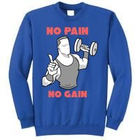 No Pain No Gain For Weightlifters Funny Gift Sweatshirt