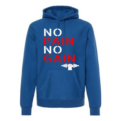 No Pain No Gain Cool Gift Motivation Gym Sweafunny Gift Premium Hoodie