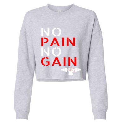 No Pain No Gain Cool Gift Motivation Gym Sweagift Cropped Pullover Crew