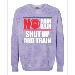 No Pain No Gain Shut Up And Train Bodybuilding Gym Workout Gift Colorblast Crewneck Sweatshirt